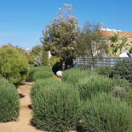 Apartman Cosy In Protaras - Mythical Sands Paralímni